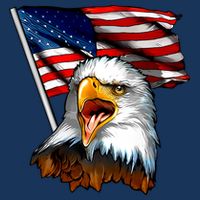 American Patriotic Eagle Flag Flatbill Hat