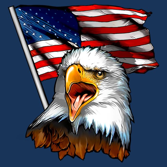 American Patriotic Eagle Flag Flatbill Hat