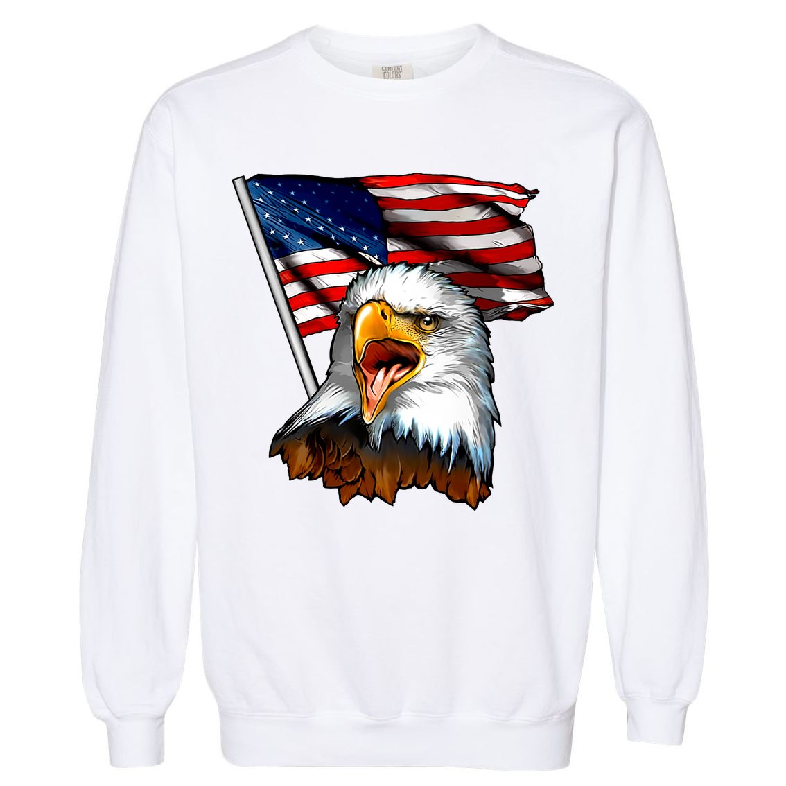 American Patriotic Eagle Flag Garment-Dyed Sweatshirt