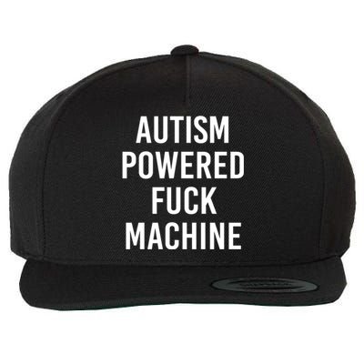 Autism Powered Fuck Machine Funny Quote Funny Gift Wool Snapback Cap