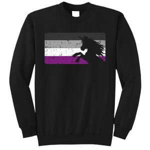 Asexual Pride Flag Unicorn Majestic Animal Ace Lgbtq Sweatshirt