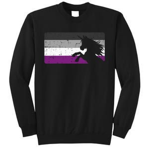 Asexual Pride Flag Unicorn Majestic Animal Ace Lgbtq Tall Sweatshirt