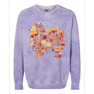 Autumn Pumpkin Fall Pomeranian Thanksgiving Womenss Colorblast Crewneck Sweatshirt