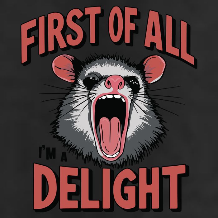 Angry Possum First Of All Im A Delight Possum Meme 25L Jumbo Tote