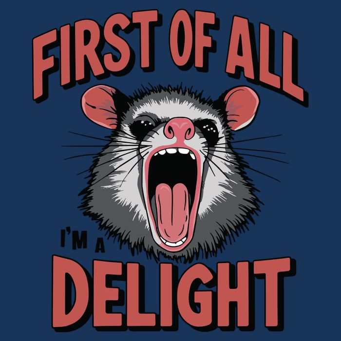 Angry Possum First Of All Im A Delight Possum Meme Infant Baby Jersey Bodysuit