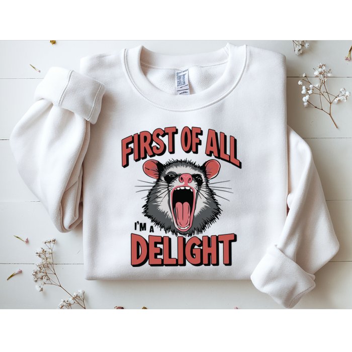 Angry Possum First Of All Im A Delight Possum Meme Sweatshirt