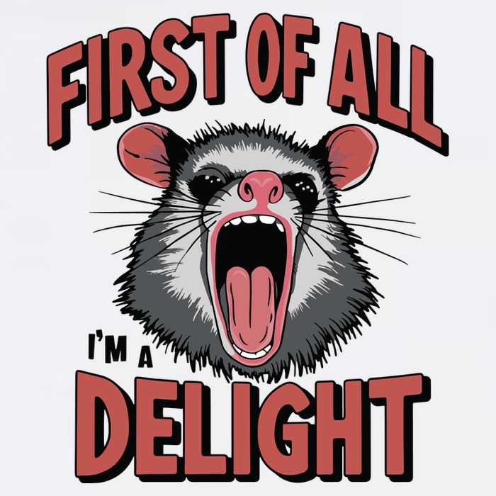 Angry Possum First Of All Im A Delight Possum Meme Sustainable Bucket Hat