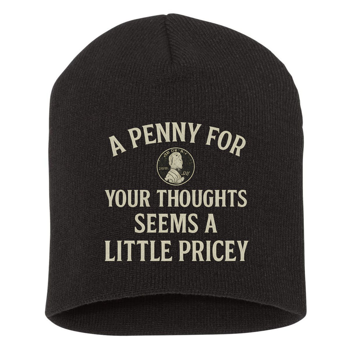 A Penny for Your Thoughts Short Acrylic Beanie