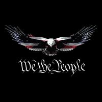 American Patriot Freedom Eagle Usa Flag 16 in Basic Backpack