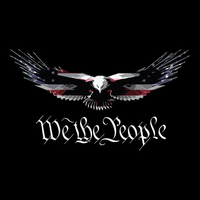 American Patriot Freedom Eagle Usa Flag 16 in Basic Backpack