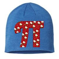 Apple Pie Funny Brainy Pi Day Mathematics Geeky Fruit Pun Gift Sustainable Beanie