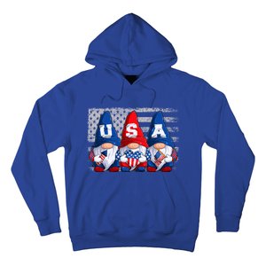 American Patriotic Gnomes Usa 4th Of July Meaningful Gift Hoodie