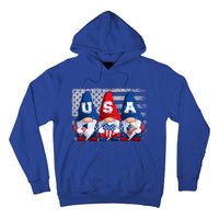 American Patriotic Gnomes Usa 4th Of July Meaningful Gift Hoodie