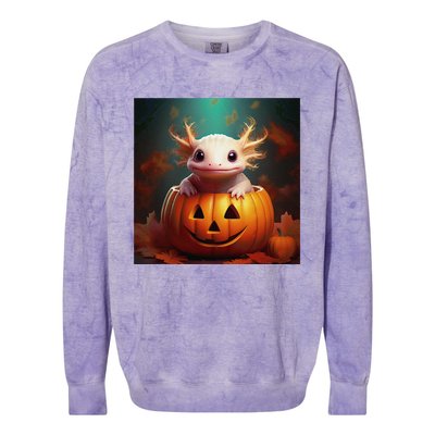 Axolotl Pumpkin – Halloween Thanksgiving Fall Harvest X Colorblast Crewneck Sweatshirt