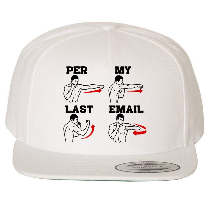 As Per My Last Email Coworker Humor Funny Costumed Wool Snapback Cap