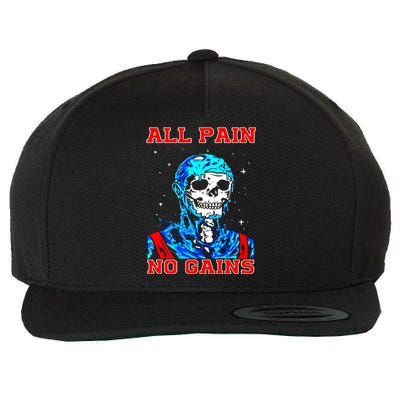 All Pain No Gains Fitness Weightlifting Bodybuilding Gym Great Gift Wool Snapback Cap