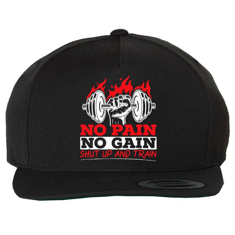 All Pain No Gains Gym Weightlifting Bodybuilding Fitness Wool Snapback Cap
