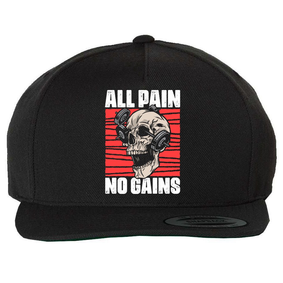 All Pain No Gains Fitness Gym Slogans For Bodybuilders Gift Wool Snapback Cap