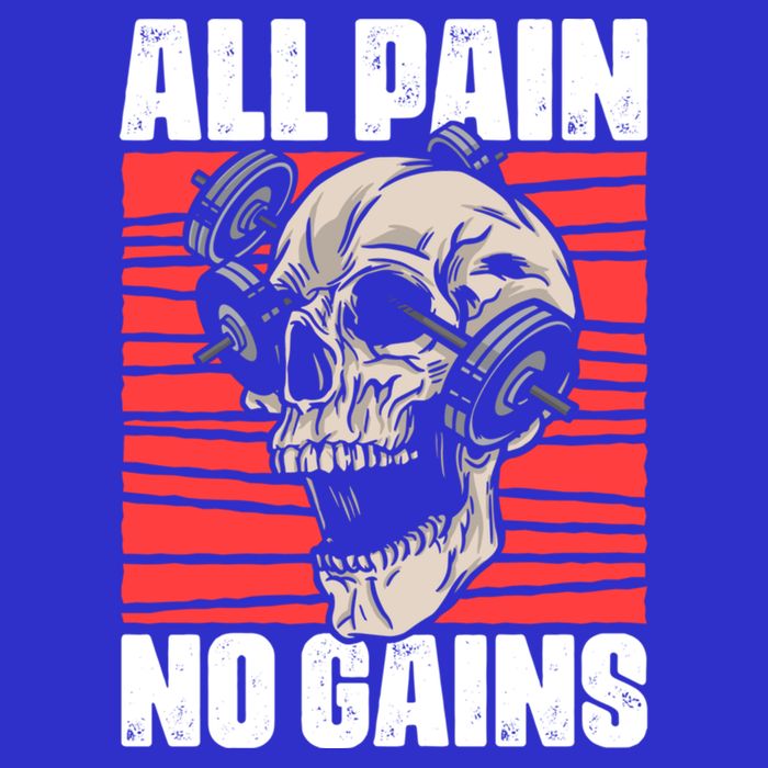 All Pain No Gains Fitness Gym Slogans For Bodybuilders Gift Hoodie