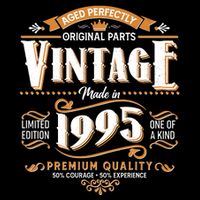 Aged Perfectly Original Parts Vintage Made In 1995 30th Birthday Womens Tank Top