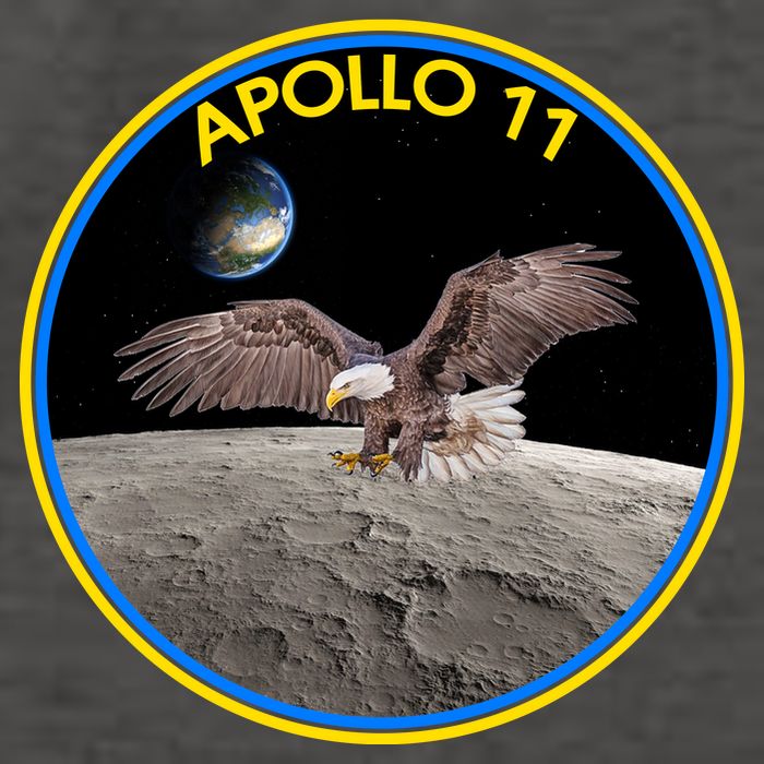 Apollo 11 Emblem Moon Landing Bald Eagle Vector Backpack