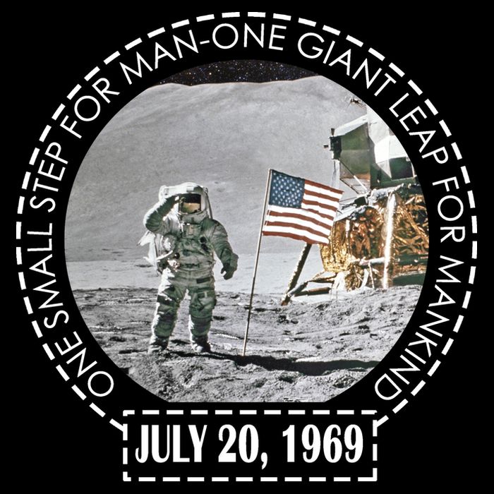 Apollo 11 Moon Landing Emblem 50th Anniversary  Zip Tote Bag