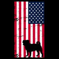 American Pitbull Flag Button