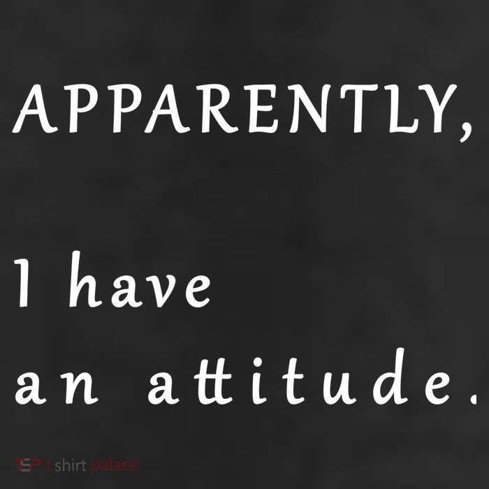 Apparently I Have An Attitude  Beanie