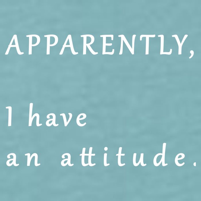 Apparently I Have An Attitude  Sueded Cloud Jersey T-Shirt