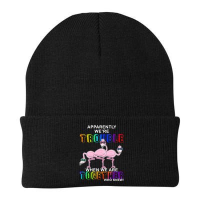 Apparently We're Trouble When We Are Together Beanie