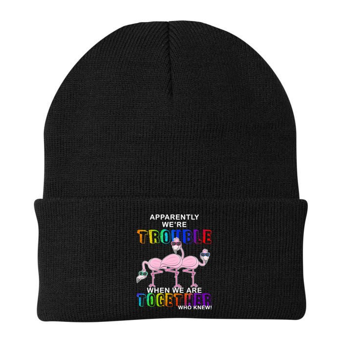 Apparently We're Trouble When We Are Together Beanie