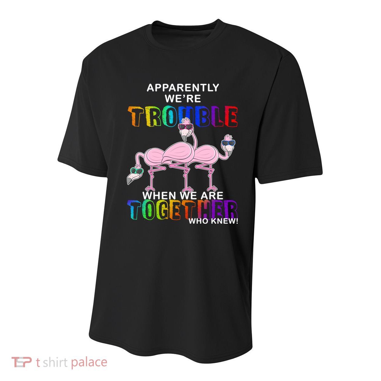 Apparently We're Trouble When We Are Together Youth Performance Sprint T-Shirt
