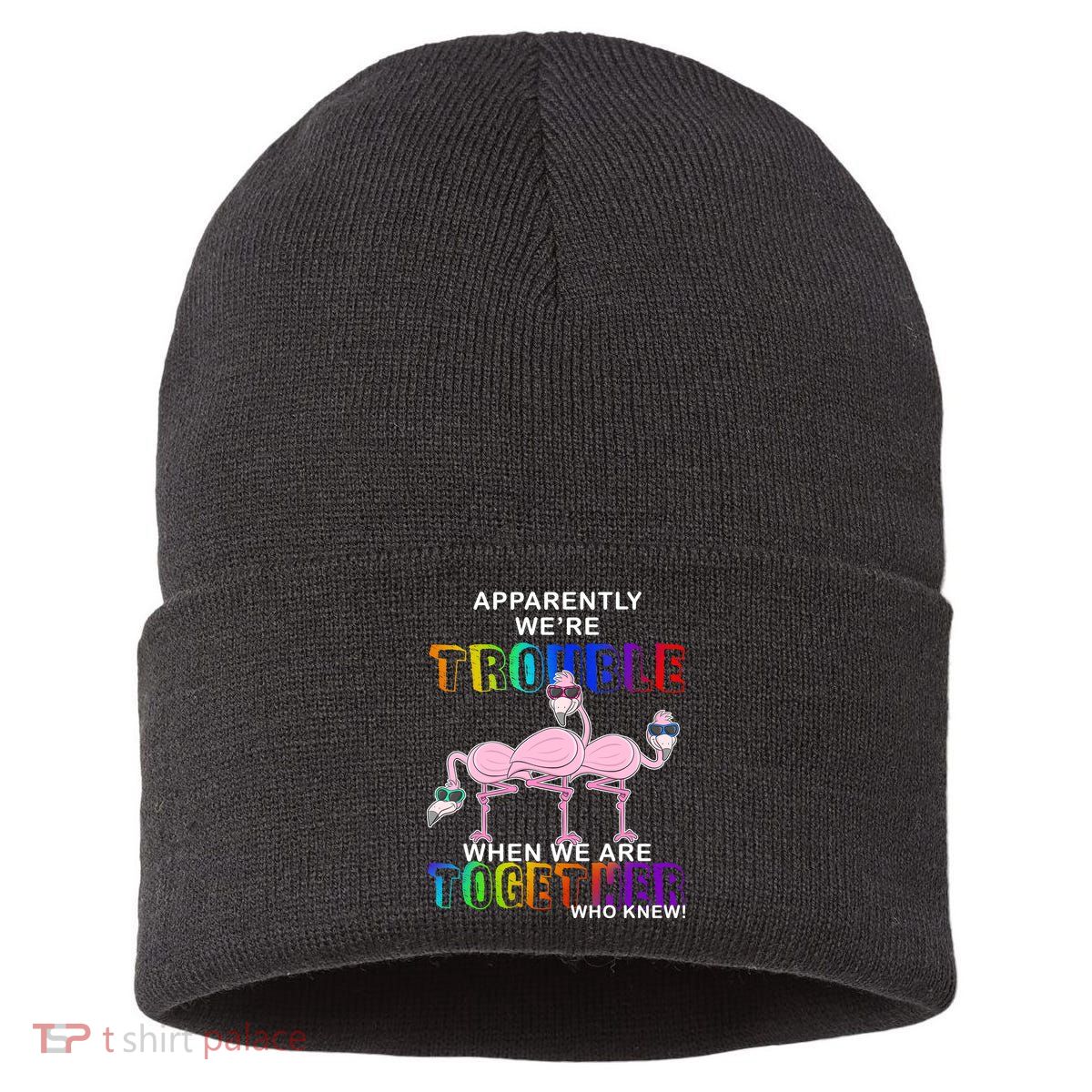 Apparently We're Trouble When We Are Together Sustainable Knit Beanie