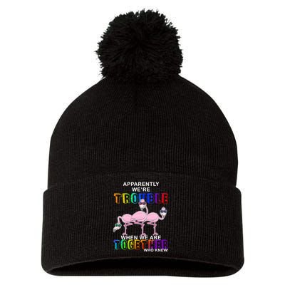Apparently We're Trouble When We Are Together Pom Pom 12in Knit Beanie