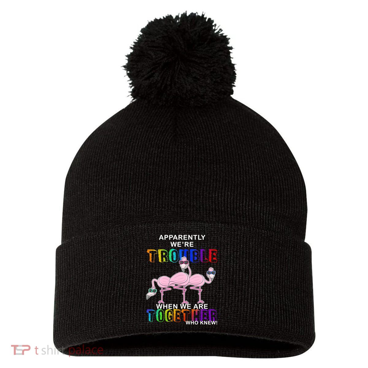 Apparently We're Trouble When We Are Together Pom Pom 12in Knit Beanie
