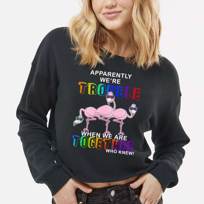 Apparently We're Trouble When We Are Together Cropped Pullover Crew