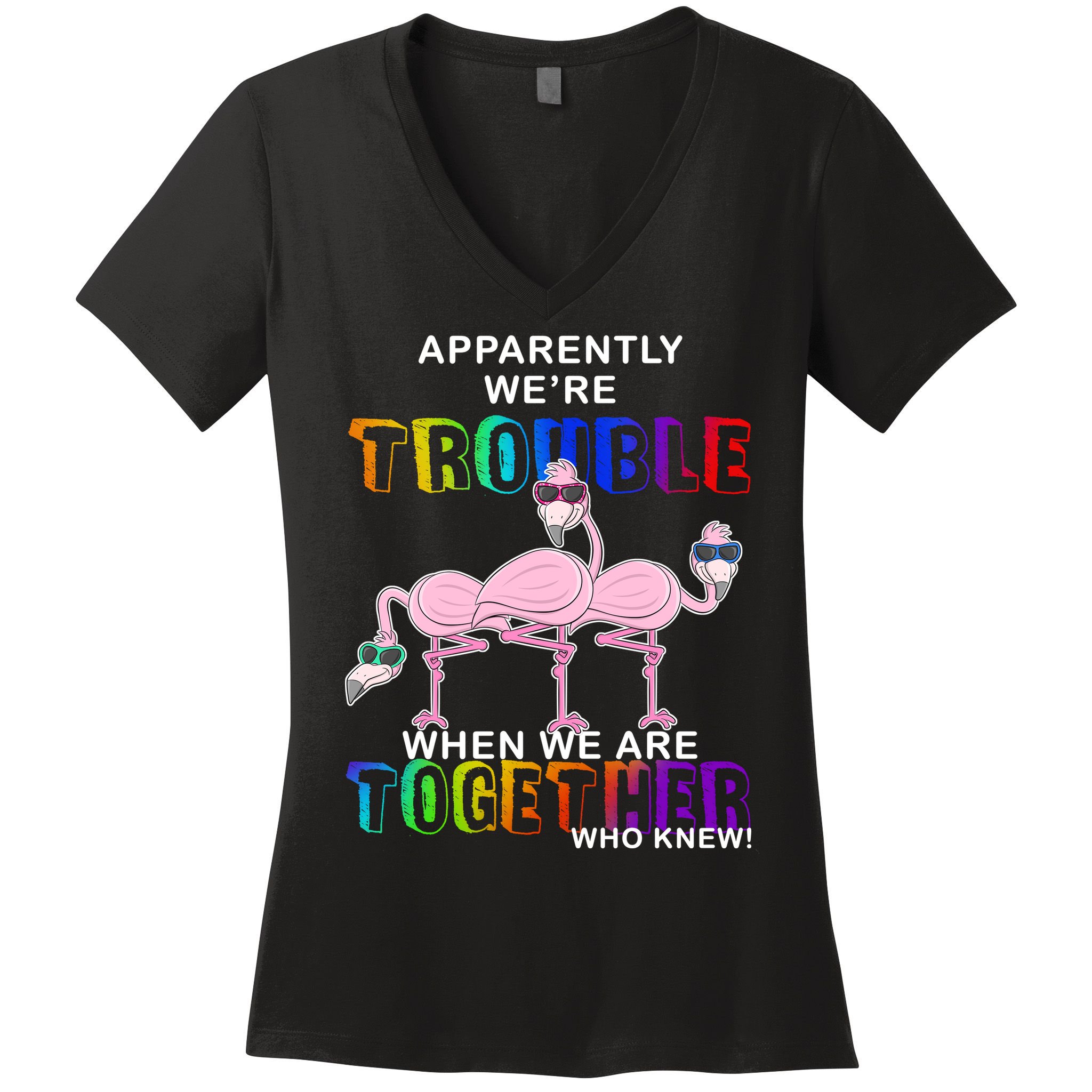 Apparently We're Trouble When We Are Together Women's V-Neck T-Shirt