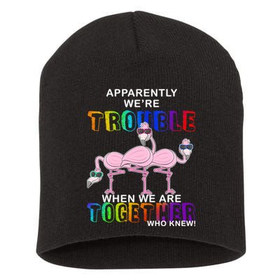 Apparently We're Trouble When We Are Together Short Acrylic Beanie