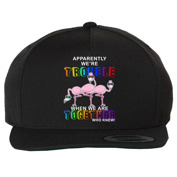 Apparently We're Trouble When We Are Together Wool Snapback Cap