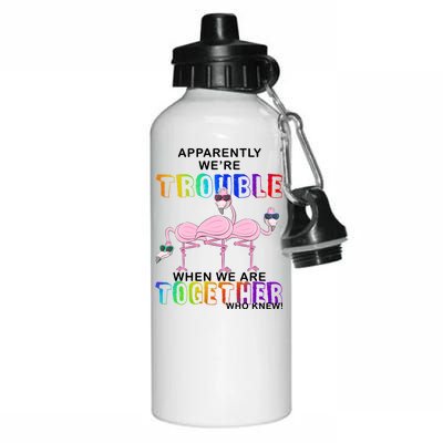 Apparently We're Trouble When We Are Together Aluminum Water Bottle