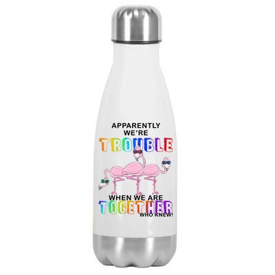 Apparently We're Trouble When We Are Together Stainless Steel Insulated Water Bottle