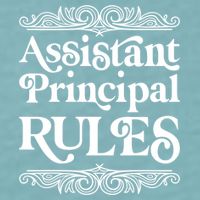 Assistant Principal Rules For Assistant Principals Gift Sueded Cloud Jersey T-Shirt