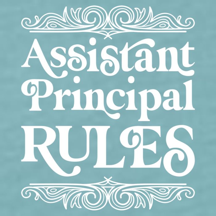 Assistant Principal Rules For Assistant Principals Gift Sueded Cloud Jersey T-Shirt