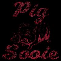 Arkansas (Pig Sooie) Cooling Performance Crew T-Shirt