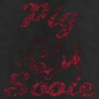 Arkansas (Pig Sooie) Adult Drive Performance Visor
