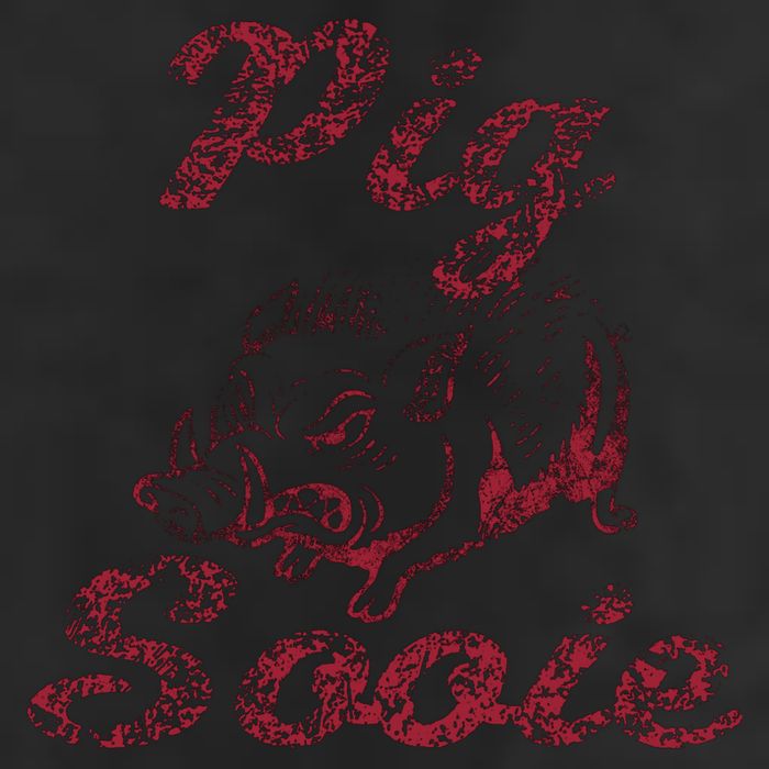 Arkansas (Pig Sooie) Adult Drive Performance Visor