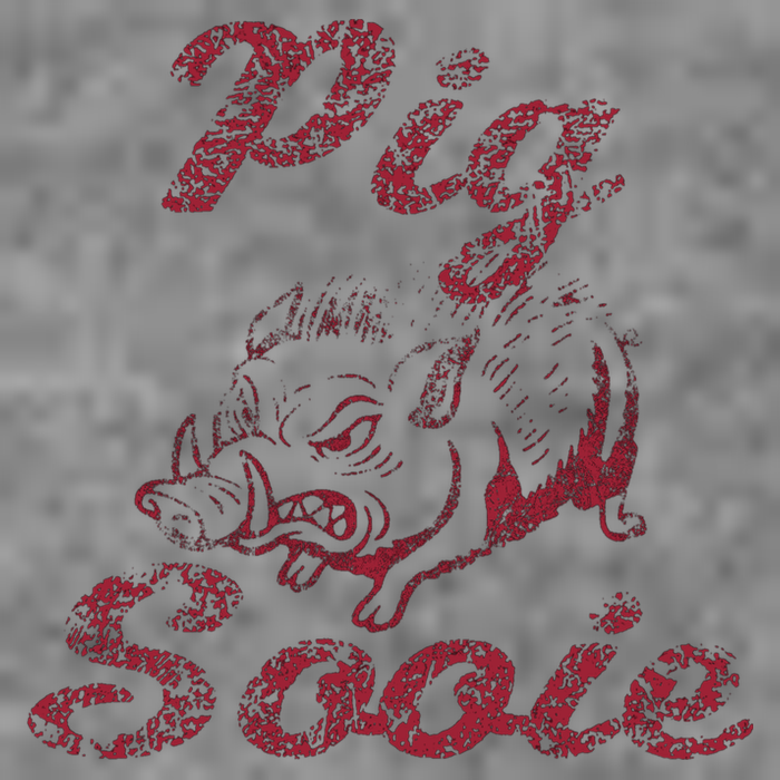 Arkansas (Pig Sooie) Short Acrylic Beanie