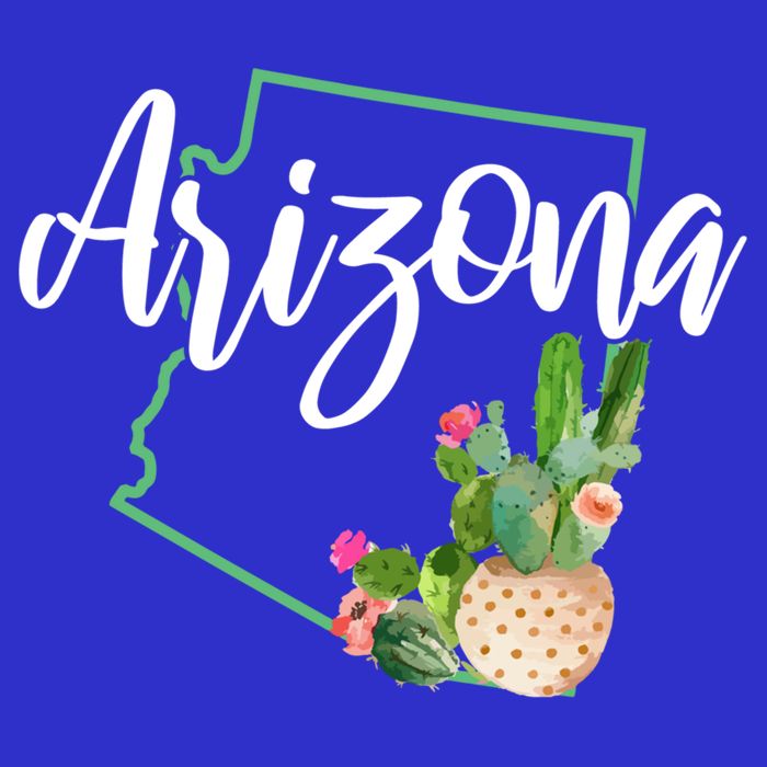 Arizona Pride State Map Cactus Vintage Arizona Cool Gift Visor