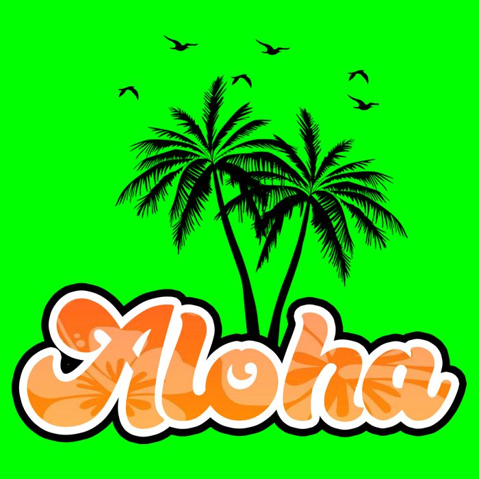 Aloha Palm Trees Hawaii Tropical Magnet