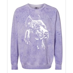 American Pitbull Terrier Colorblast Crewneck Sweatshirt